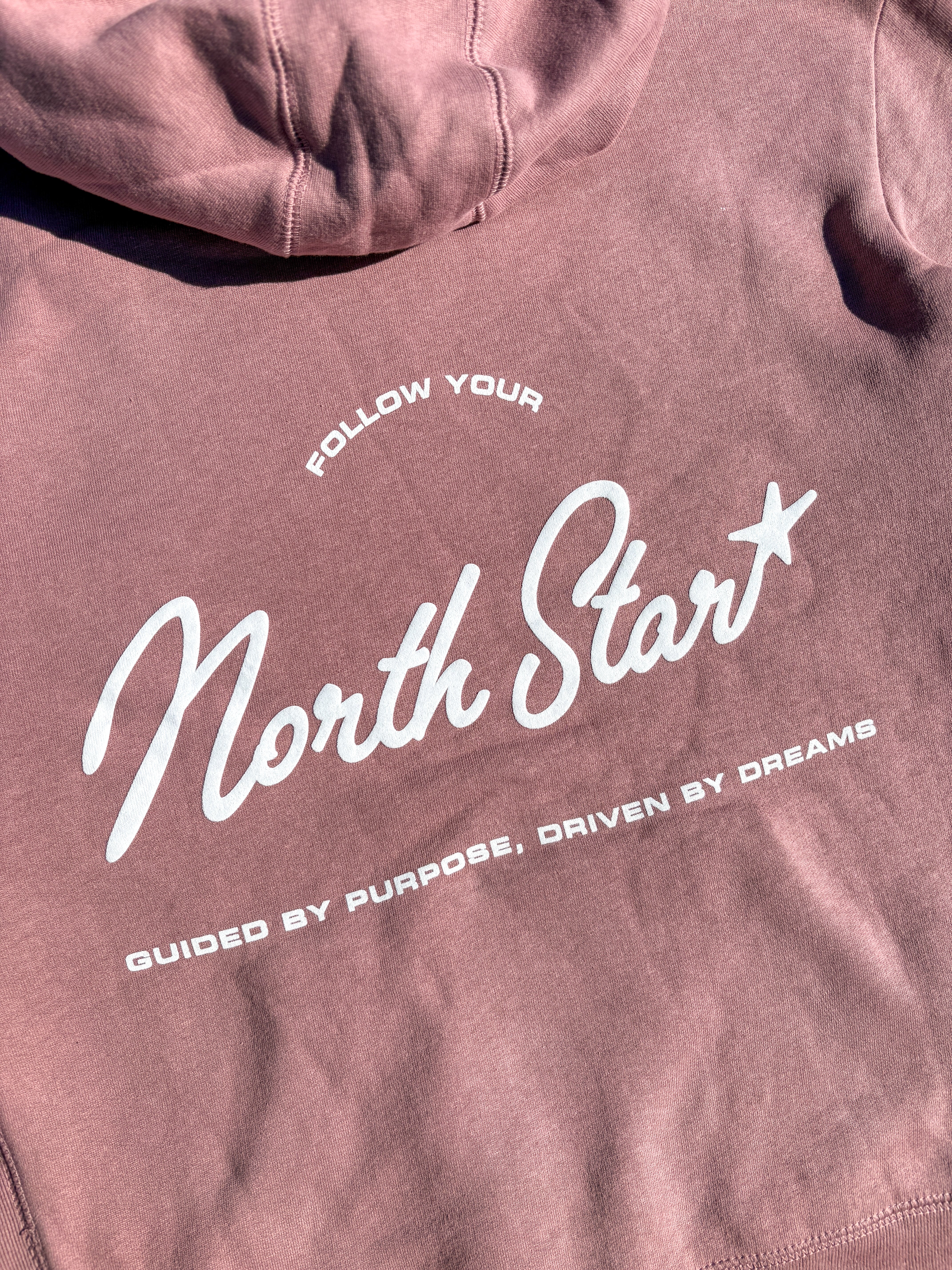 'NORTHSTAR' HOODIE - BLUSH